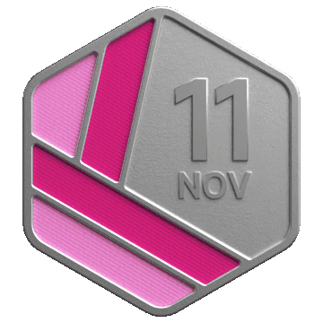 Nov LeetCoding Challenge